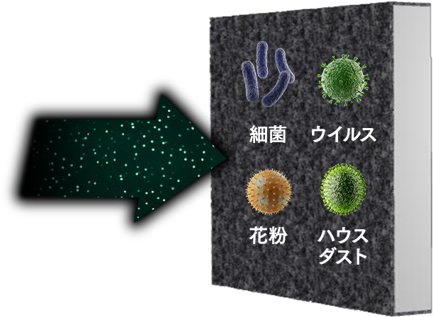 細菌/ウイルス/花粉/ハウスダスト