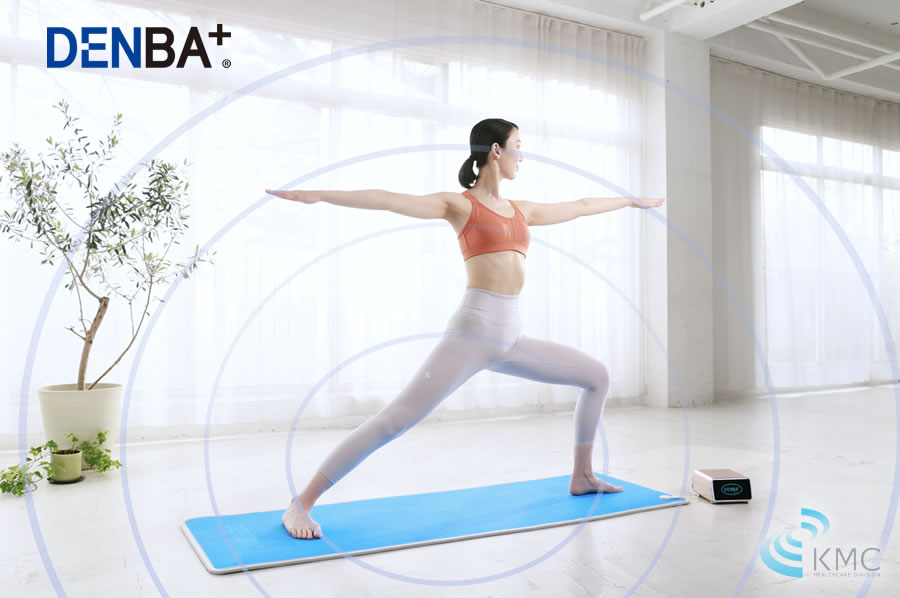 デンバヘルス ストレッチマット