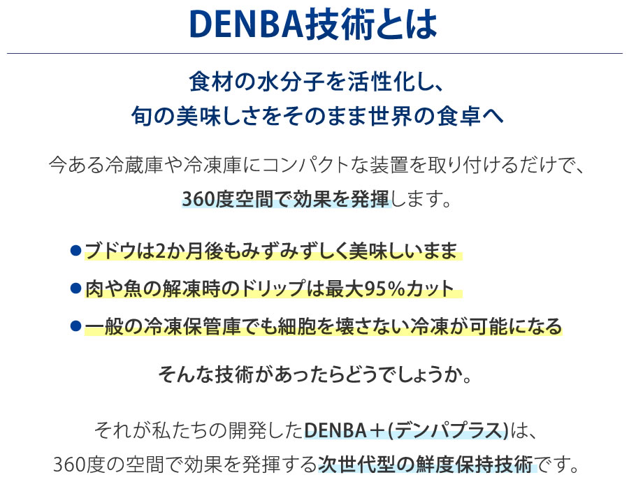 DENBA技術とは