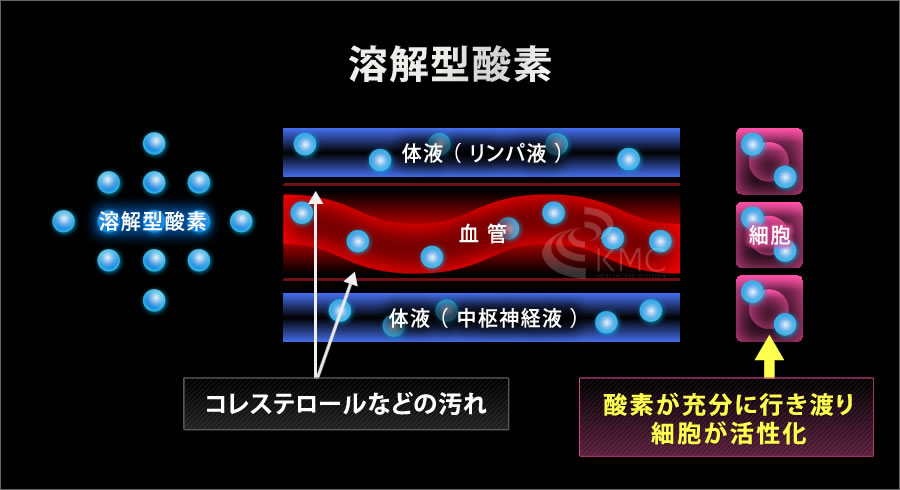 ルーム型酸素カプセル OXYROOM（オキシルーム）1‐2人用 ハード・業務ユース対応モデル | 神戸メディケア