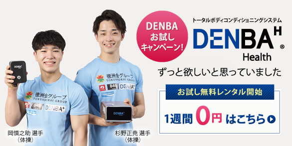DENBA Health 電位空間マット
